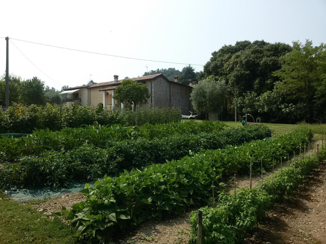 Agriturismo la Scala Saló Exterior foto